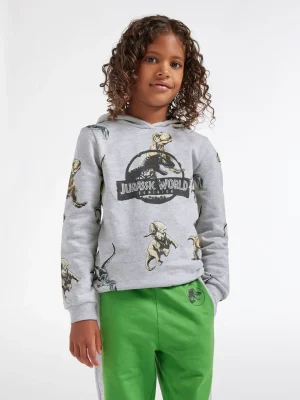 Outlet Jurassic World Felpa con cappuccio Grigio