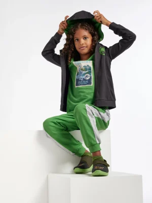 Store Jurassic World Giacca da allenamento Grigio